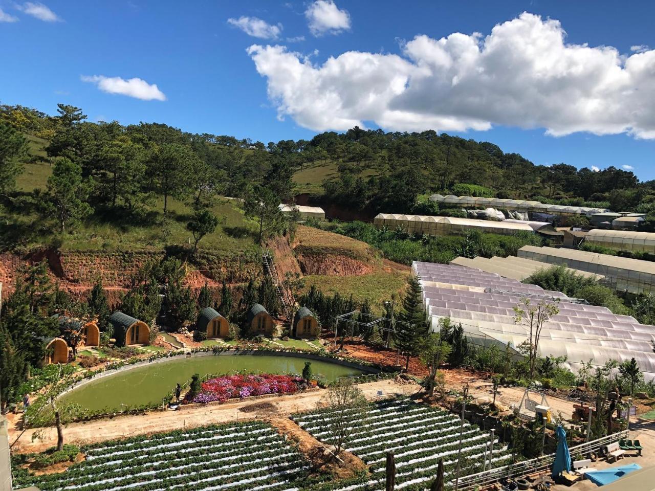 Berry Valley Homestay Da Lat Kültér fotó