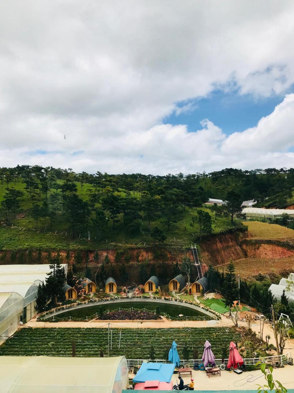 Berry Valley Homestay Da Lat Kültér fotó